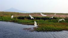 仙山湖风景区-长兴-C-IMAGE