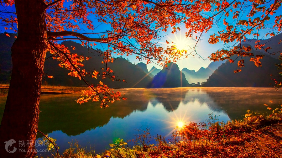 紅葉森林公園