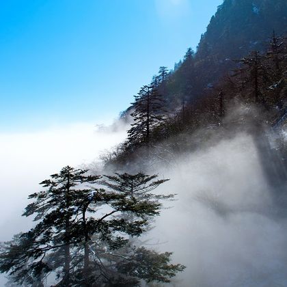 瓦屋山风景区一日游