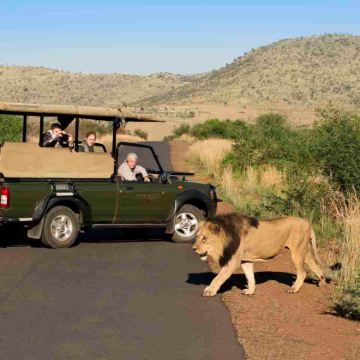南非匹兰斯堡国家公园一日游，探索野生动物与自然美景