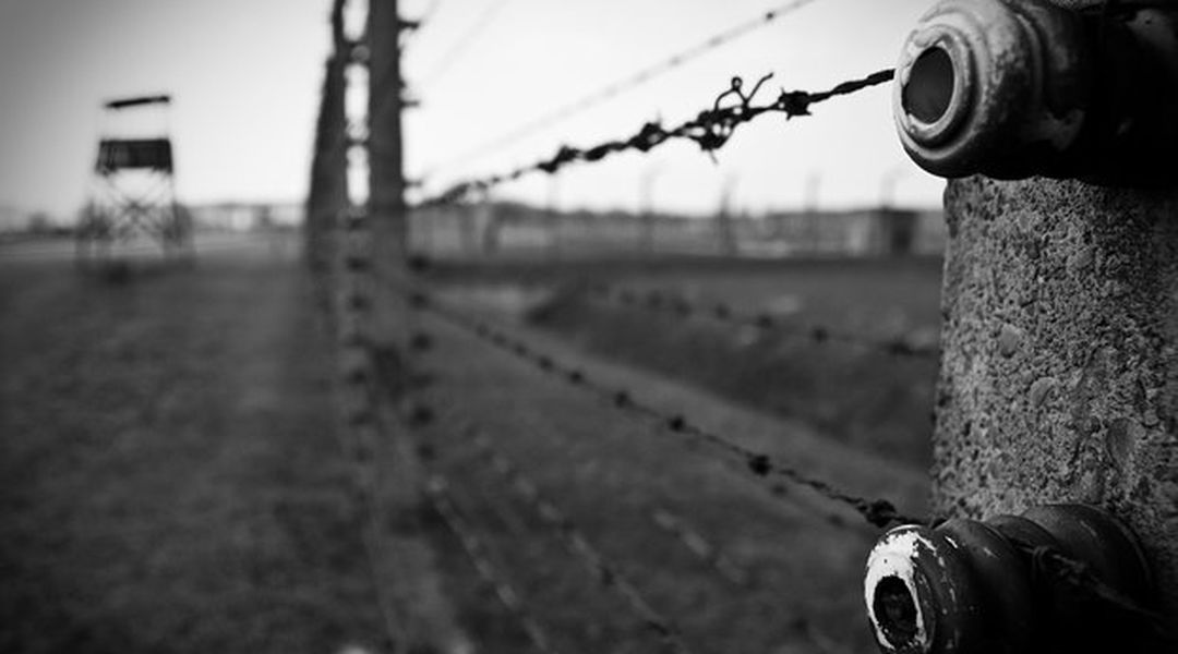 Auschwitz Birkenau Museum And Memorial Guided Tour From Krakow