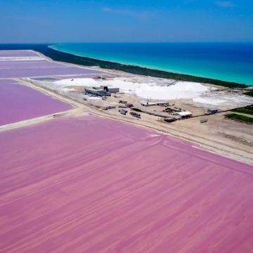 墨西哥粉红湖一日游【粉红湖+天井】