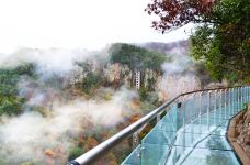 徐凫岩-宁波-C-IMAGE