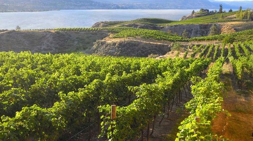 Naramata Bench Wine Tour Trip Com