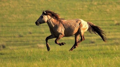 350214000000xaen17018_C_500_280_Q80.jpg