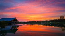 郑州园博园-新郑