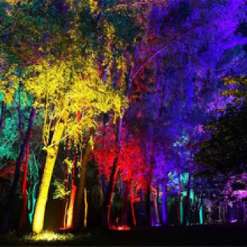 豫西大峡谷图片