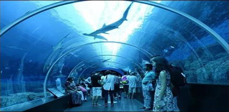 约尼纳极地海洋馆