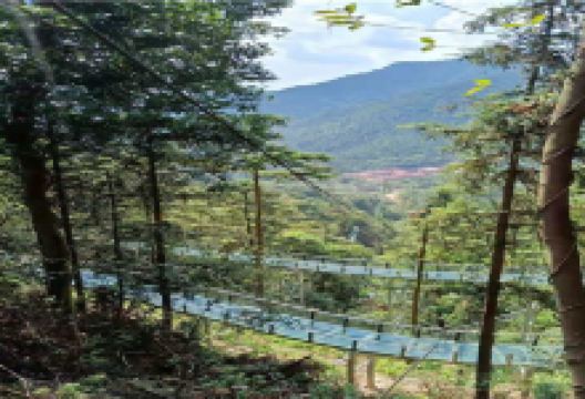 鹤栖谷空中玻璃漂流景点图片