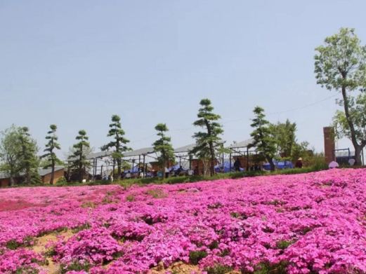知音畔岛