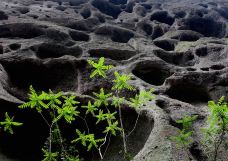 寨下大峡谷-泰宁