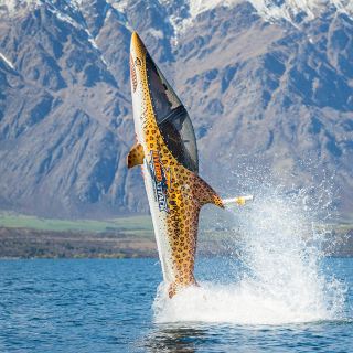 新西兰皇后镇瓦卡蒂普湖鲨鱼快艇半日游【一人一艇 高能驾驶员 酷炫潜