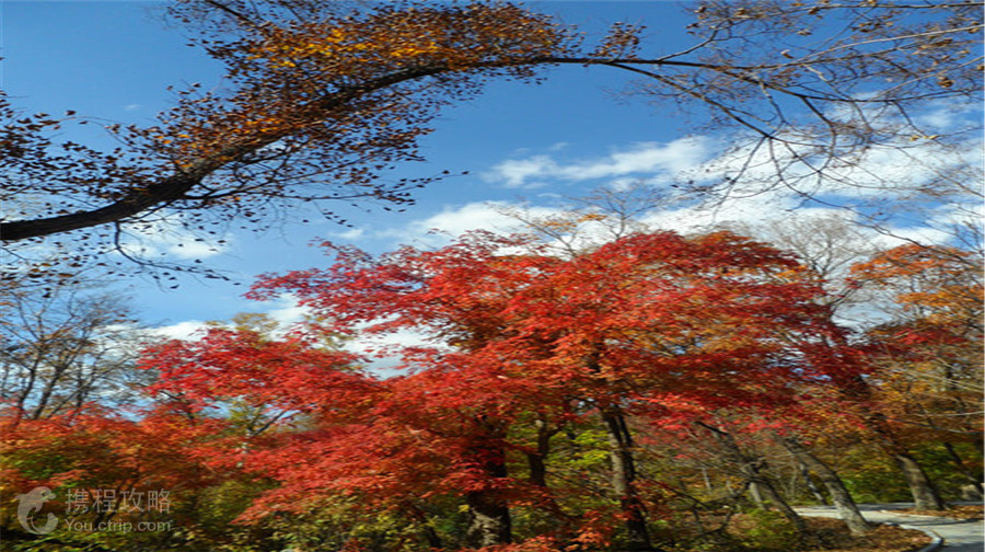 金龍山國家森林公園