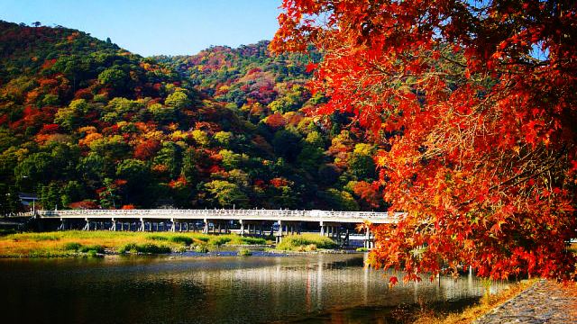 日本京都岚山金阁寺伏见稻荷大社一日游经典线路搭载多语言语音导览机