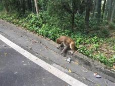 牛姆林生态旅游区-永春-C-IMAGE