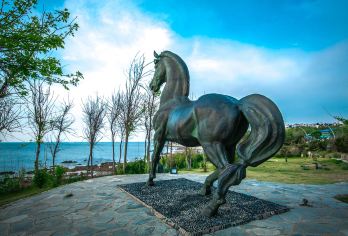 半日游【私家团+接送】烟台养马岛+烟台山+渔人码头【[深度玩乐]上门接送，睡醒出发，不打卡不走马观花】