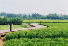 郭兴庄园景点图片