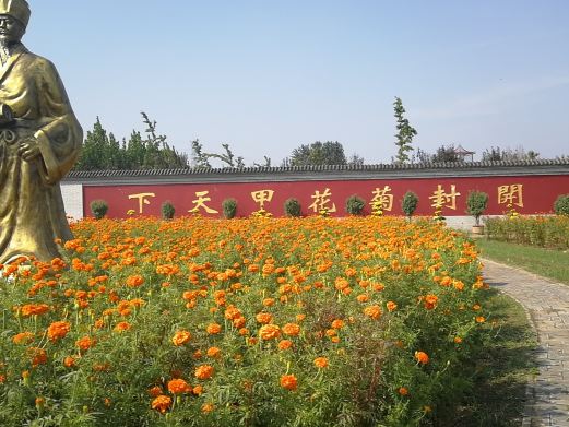 中国菊园
