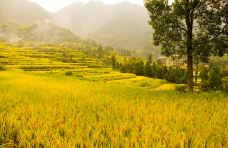 千峡湖生态旅游度假区-青田