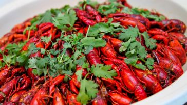 济南索菲特银座大饭店银顶旋转西餐厅自助餐\/