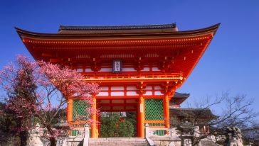 【大阪周边一日游】大阪市区\/大阪至京都\/奈良