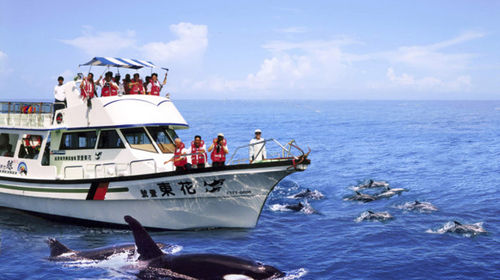 花莲赏鲸豚 太鲁阁国家公园 清水断崖 七星潭风景区一日游 海陆双拼经典玩法升级版 上门接送 线路推荐 携程玩乐
