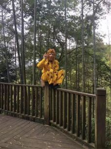 牛姆林生态旅游区-永春-C-IMAGE