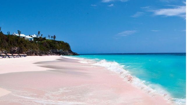 巴哈马拿骚粉色沙滩 玻璃窗大桥一日游 13人小团 飞机 渡轮可选 行程自由 线路推荐 携程玩乐