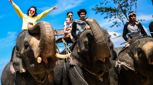 泰国普吉岛卡马拉骑大象半日游【公益象园 往返接送 卡马拉海景象园】线路推荐【携程玩乐】