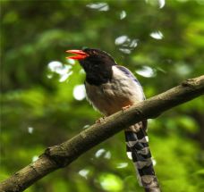 牛姆林生态旅游区-永春-C-IMAGE