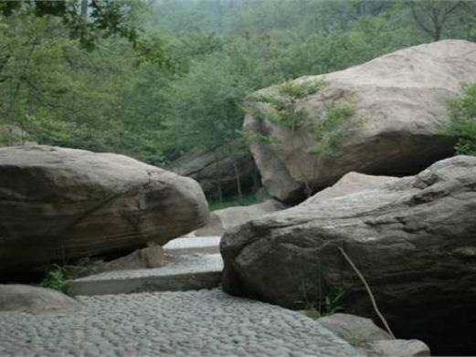 藤龙山风景区
