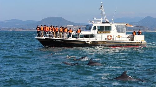 「天草海豚觀覽船」的圖片搜尋結果