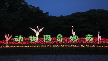 【上海】限量爆款丨29.9元抢上海野生动物园夜场门票，国内首个特色夜间动物园！带你领略200余种，上万只动物，夜间的精彩生活~1.3米（6周岁）以下儿童免费哟~