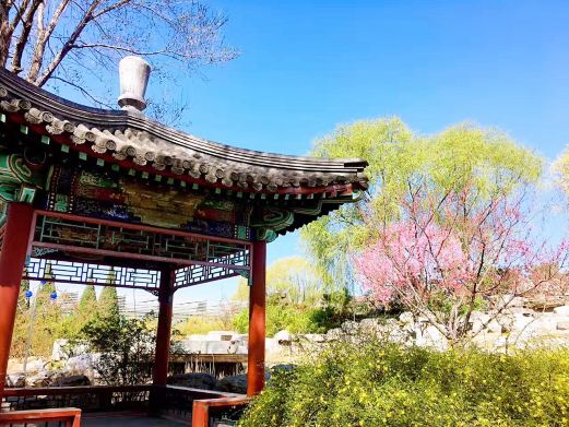 世界花卉大观园