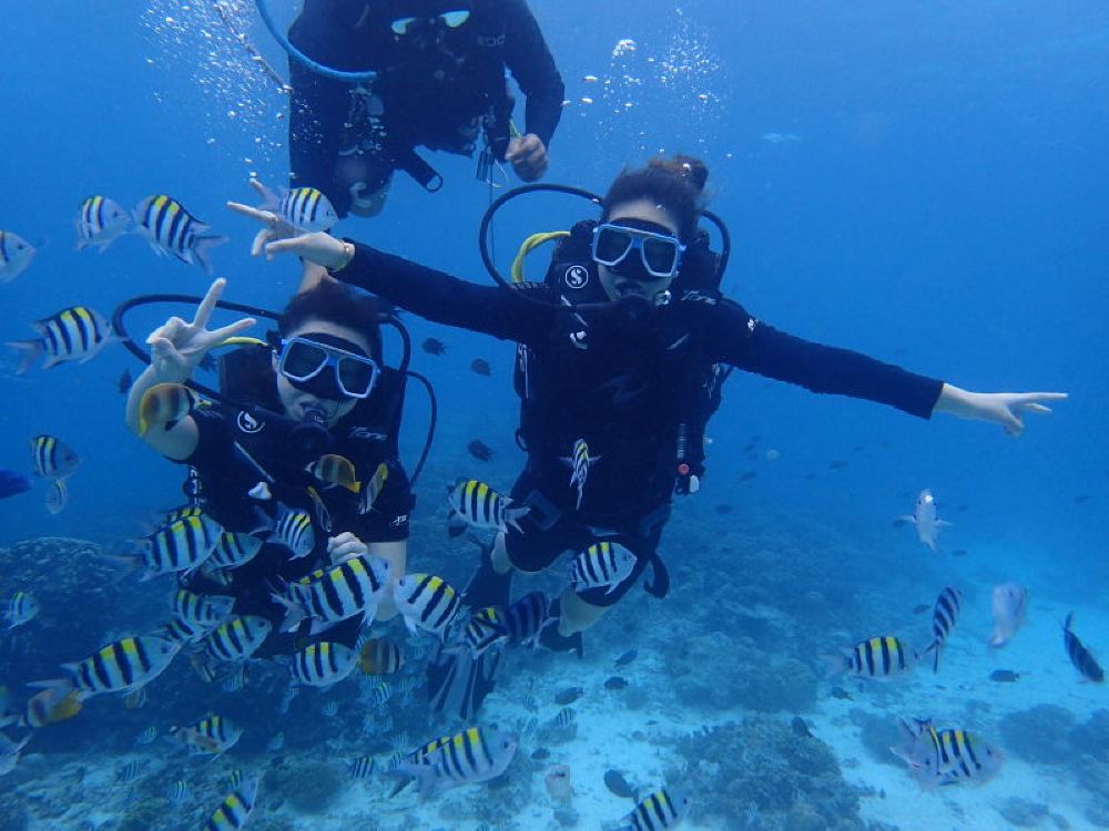 长滩岛潜水中心ow考证套餐