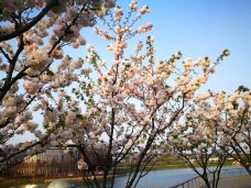 宁波植物园-宁波-C-IMAGE