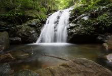 武陵奇峡景区景点图片