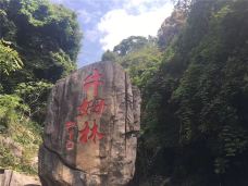 牛姆林生态旅游区-永春-C-IMAGE