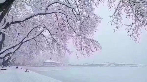 什么雪什么皑成语_雪之下雪乃(5)