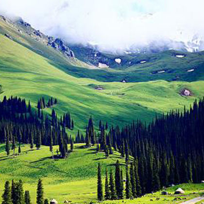 新疆伊犁那拉提旅游风景区一日游