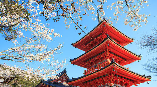 稻荷什么成语_稻荷恋之歌(3)