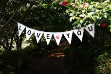 山茶花之丘-西归浦市