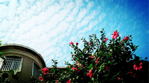 厦门鼓浪屿景区导览讲解服务线路推荐【携程玩