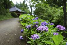 Esashi-Fuijiwara Heritage Park-奥州市-C-IMAGE