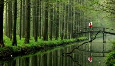 宝应湖国家湿地公园-宝应-C-IMAGE