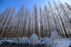 宝应湖国家湿地公园-宝应-C-IMAGE