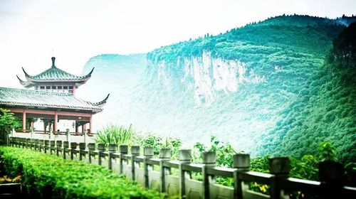 武隆人口网_武隆山体垮塌 失踪人员达64名 兑付救助金400万