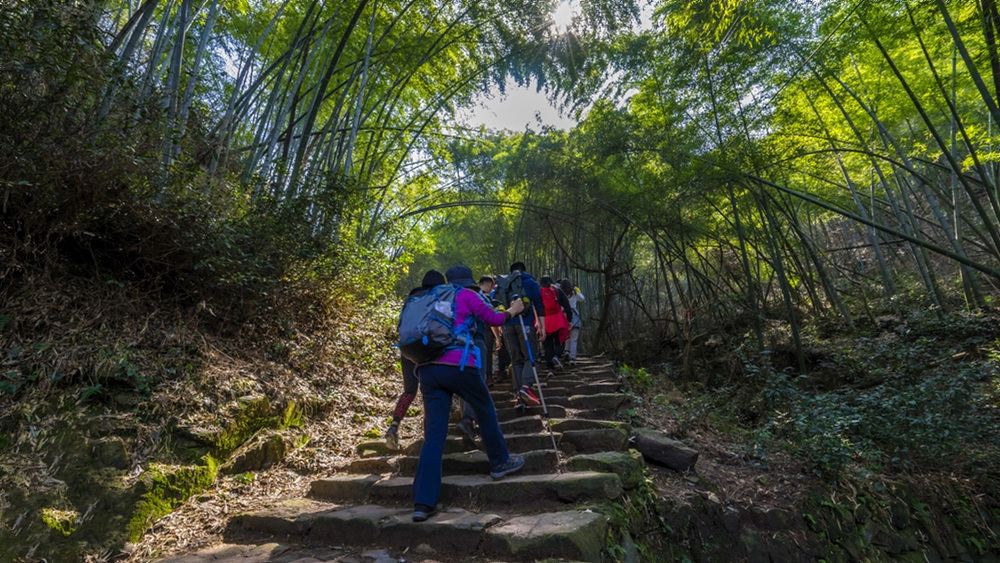 绍兴上青古道一日游徒步悠悠古道竹影斑驳单日徒步线10km