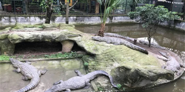 重慶鱷魚養殖中心