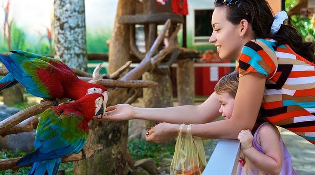 Fully Guided Jurong Bird Park Tour Trip Com